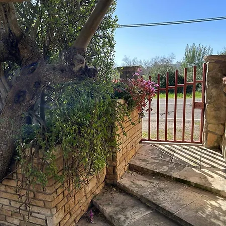 Mimina Con Barbecue E Parcheggio Torre Lapillo